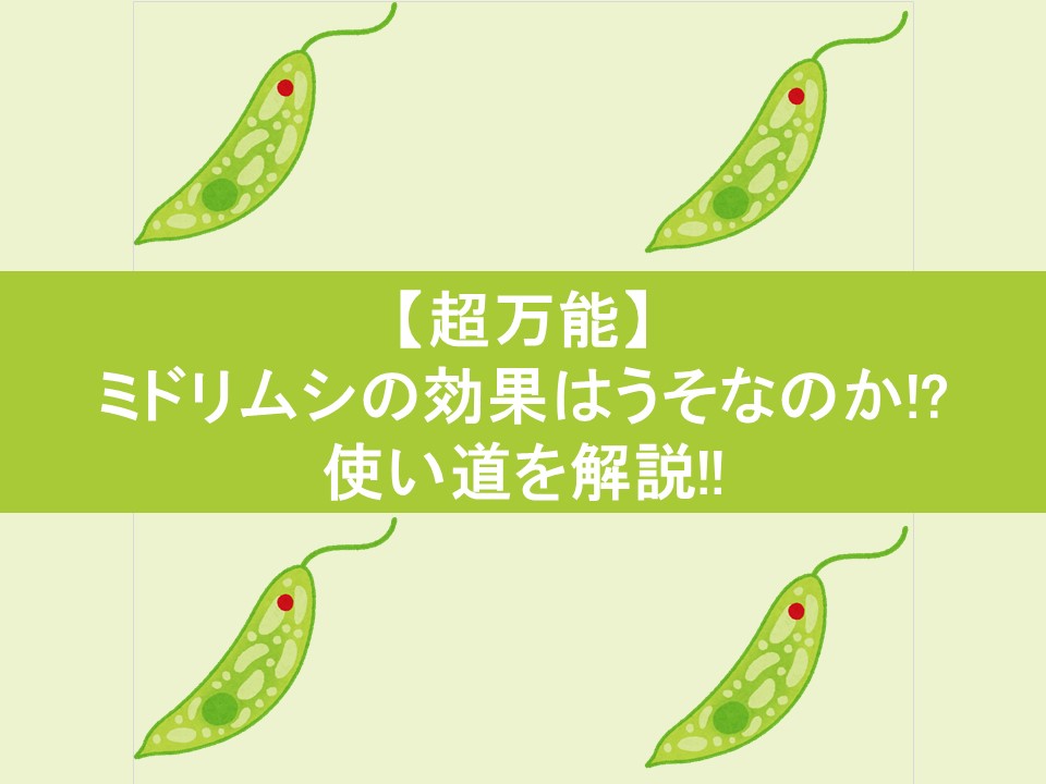 【超万能】ミドリムシの効果はうそ！？使い道を解説！！